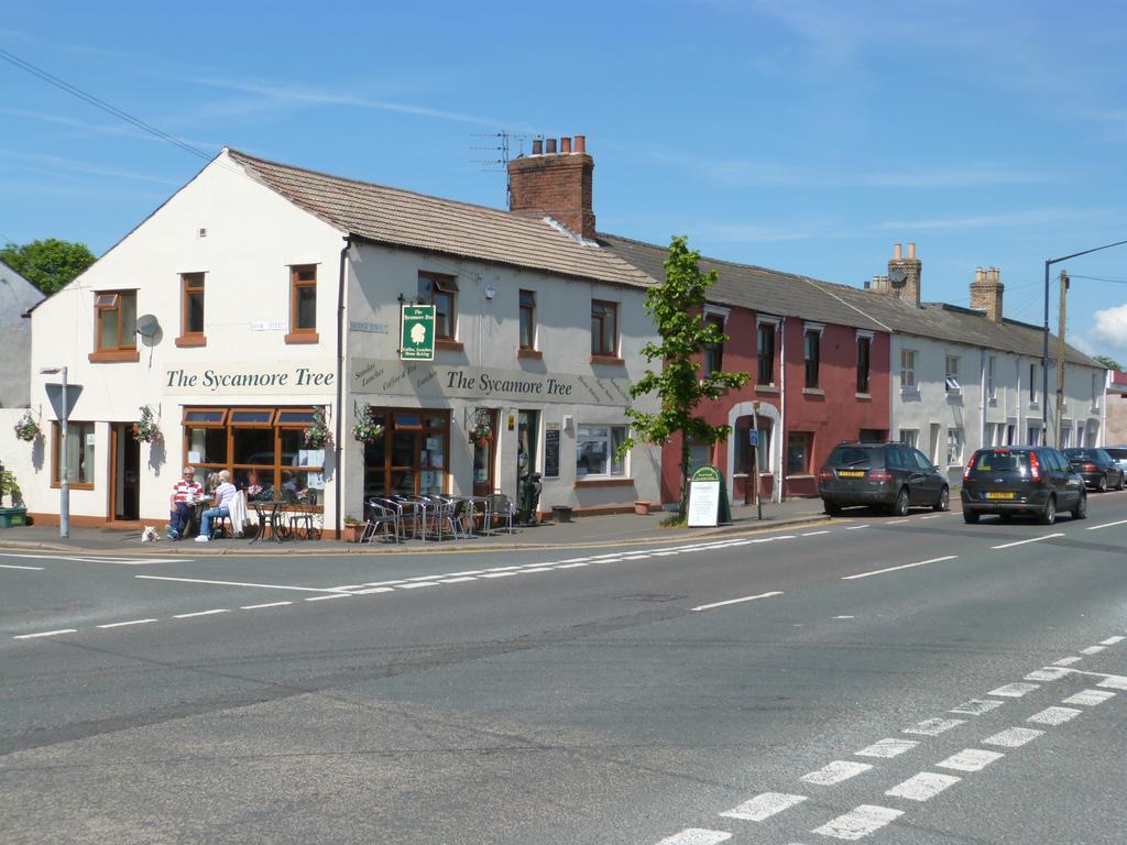 The Sycamore Tree Longtown Bagian luar foto